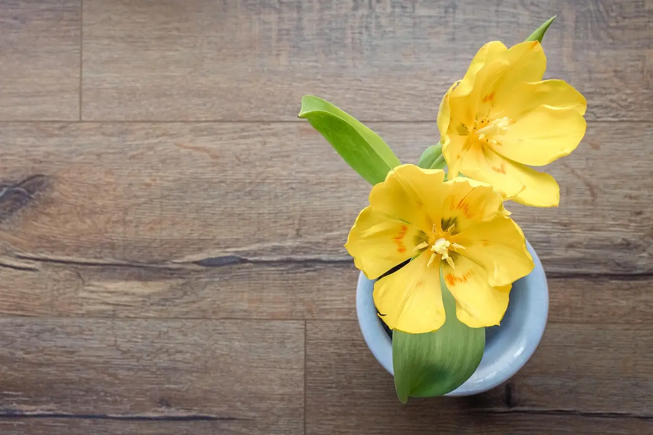 Two yellow tulips in a pale blue ceramic pot on a wooden surface, seen from above