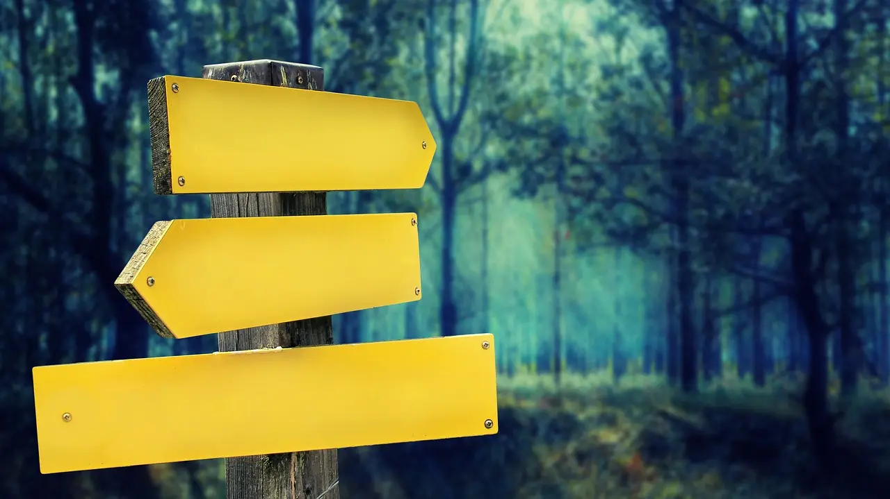 Three blank yellow boards on a wooden post in front of a dark forest